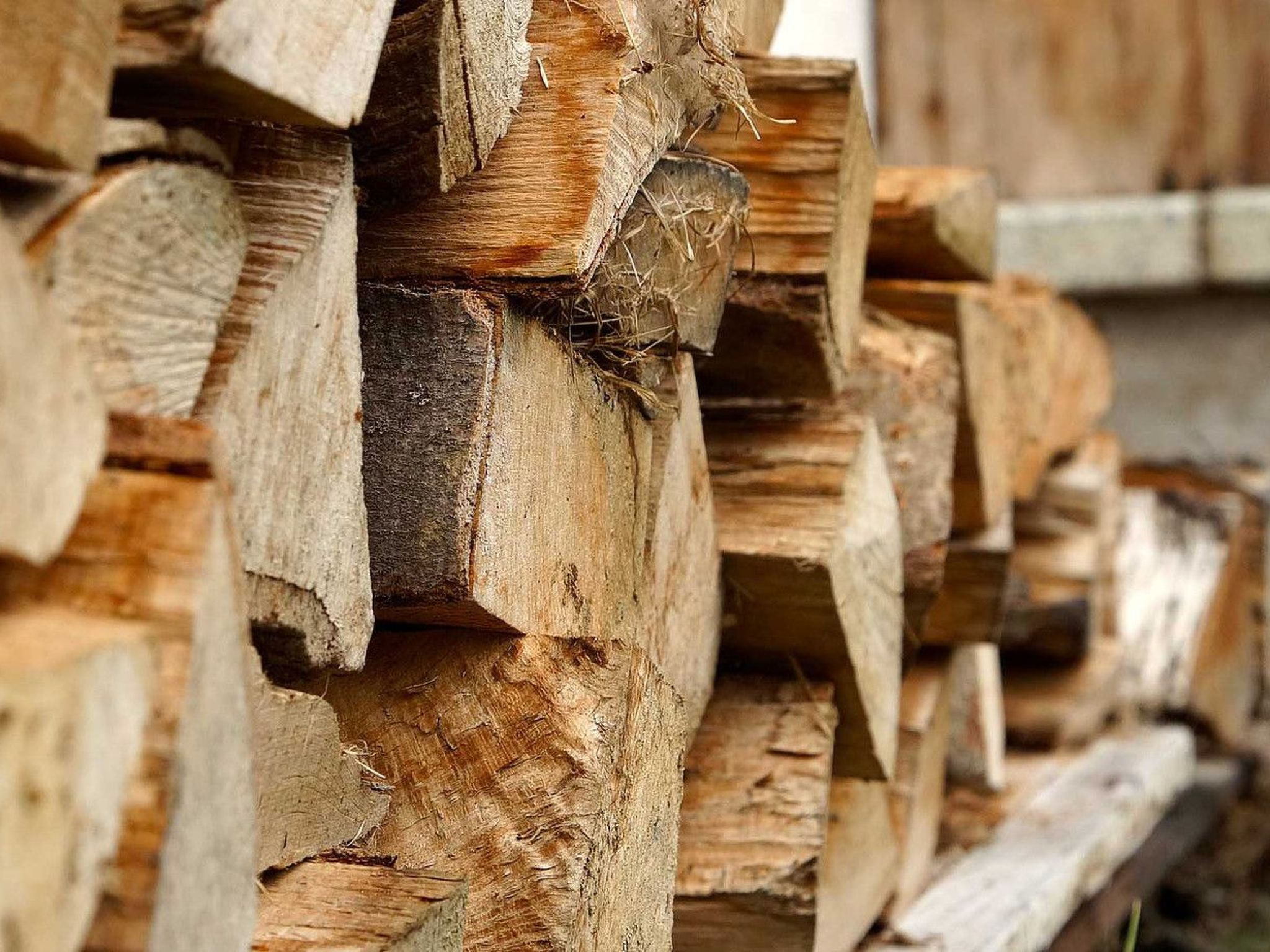 Photo of in ruhiger Lage mit Gartennutzung