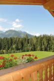 Ruime biologische bergboerderij voor 14 personen bij skigebied Kitzbühel - thumbnail 6