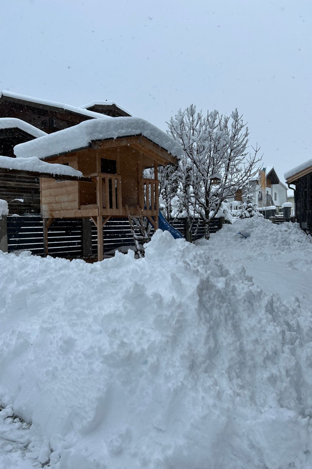 Felben-Image-tags.info