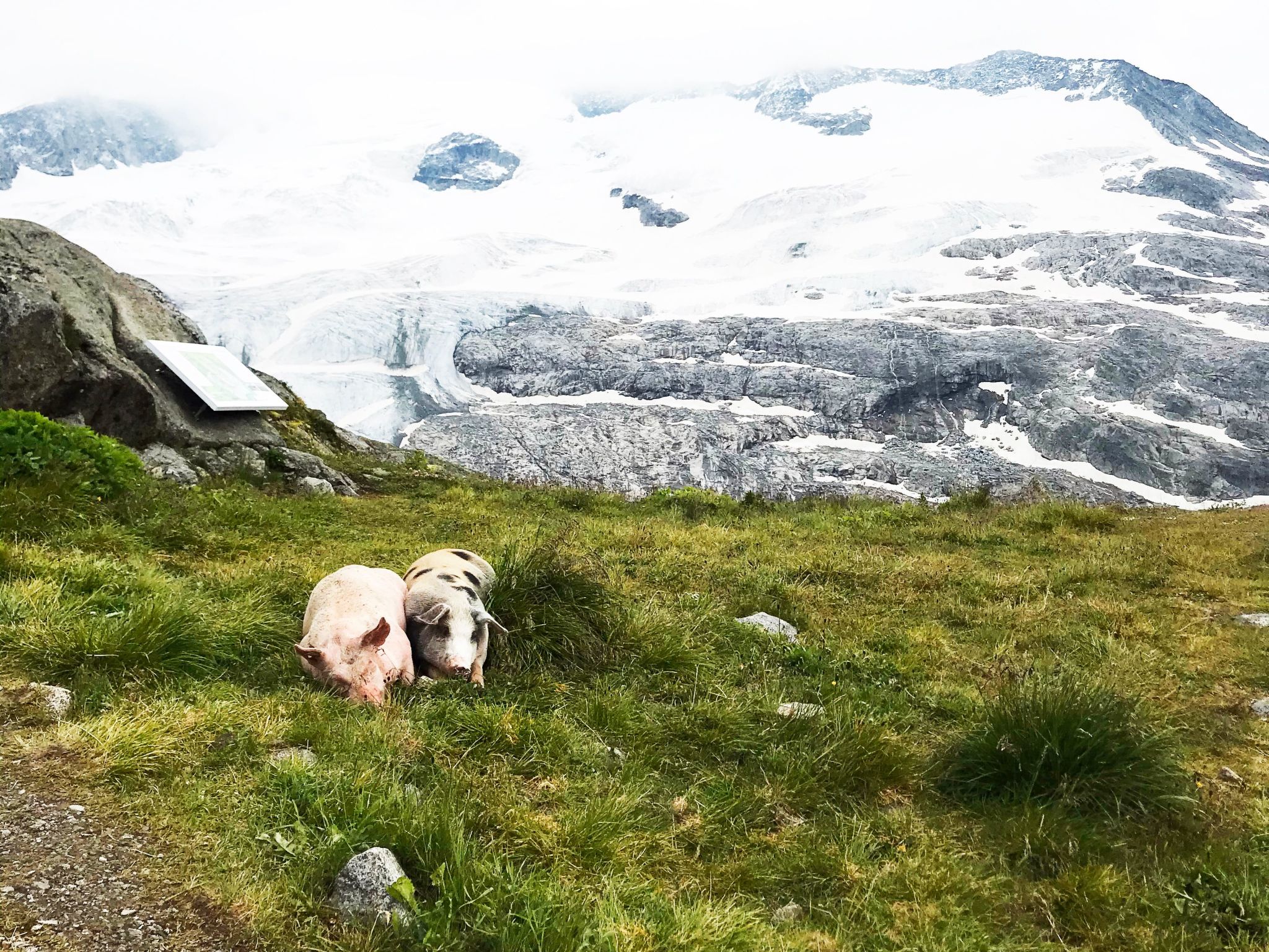 Felben-Image-tags.info