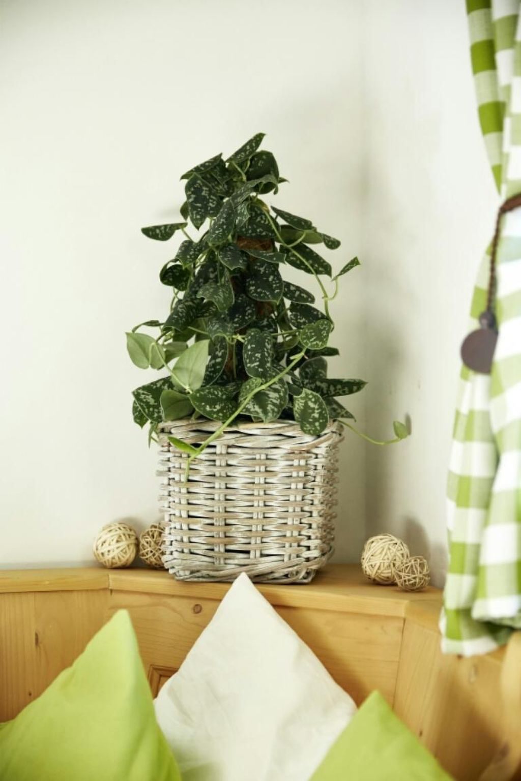 Photo of Auhäusl in Mittersill