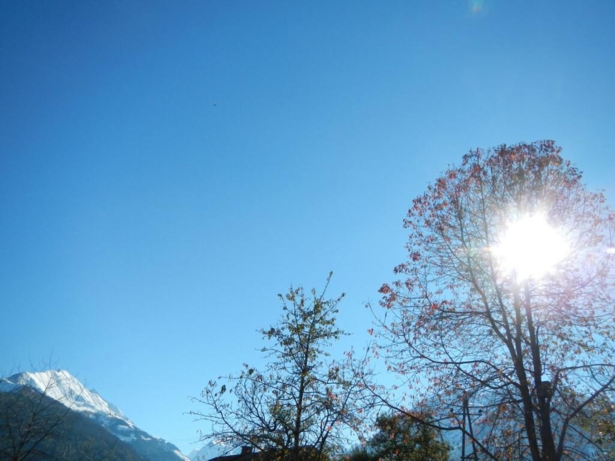 Photo of Auhäusl in Mittersill