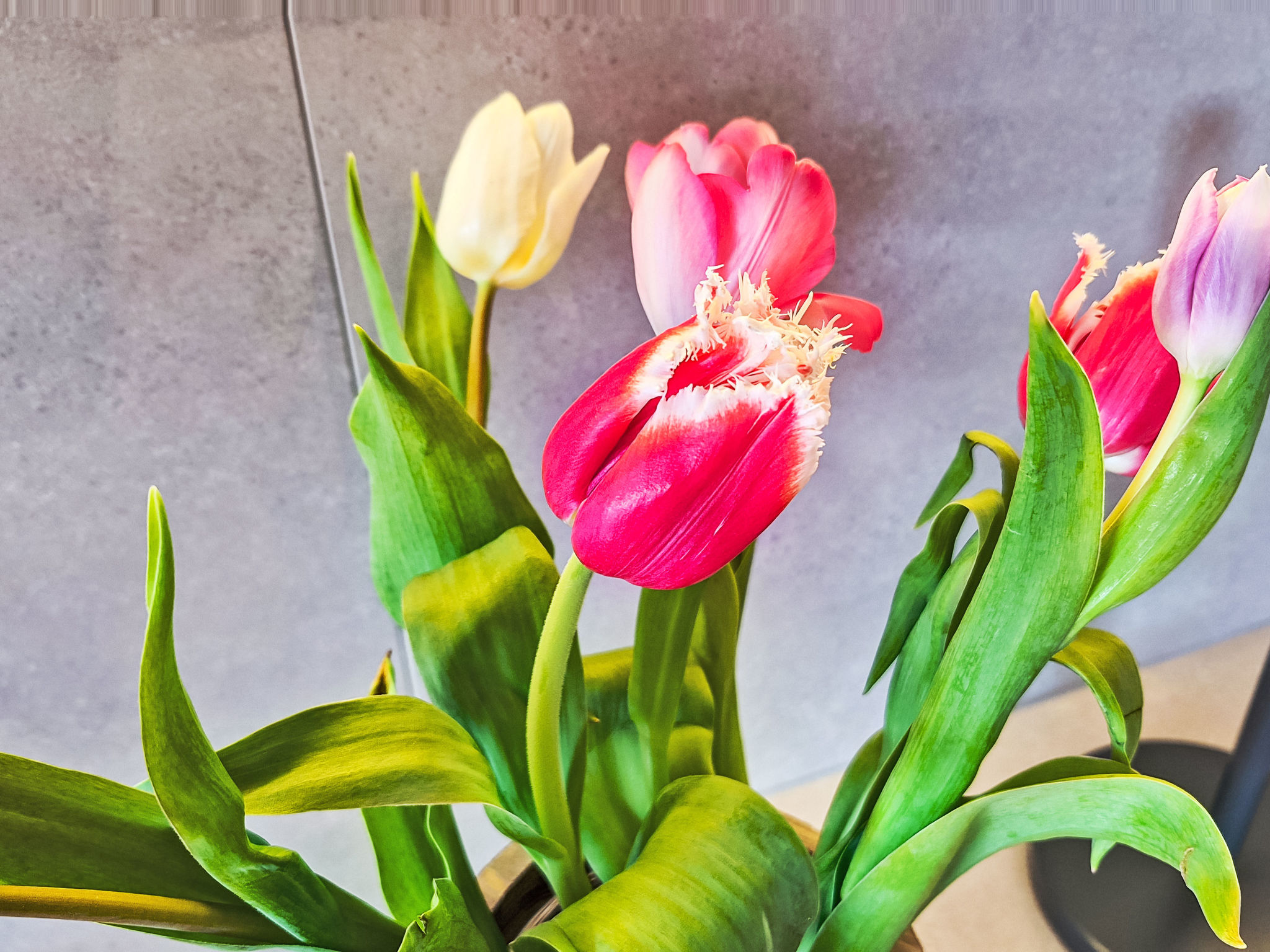 Photo of Panoramablick Tauern