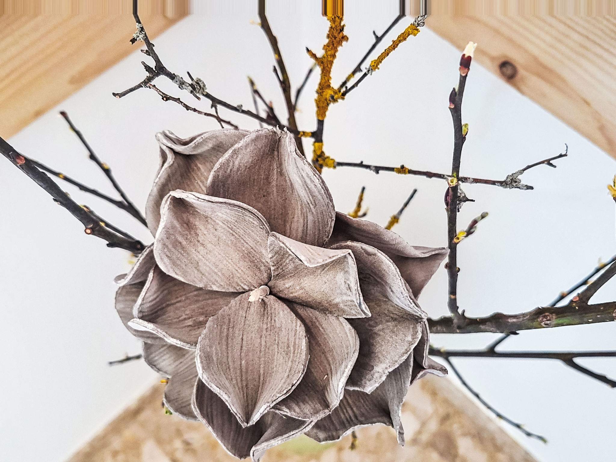 Photo of Panoramablick Tauern