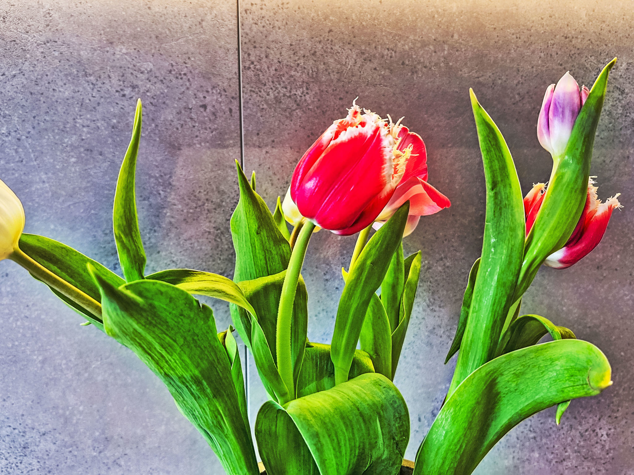 Photo of Panoramablick Tauern