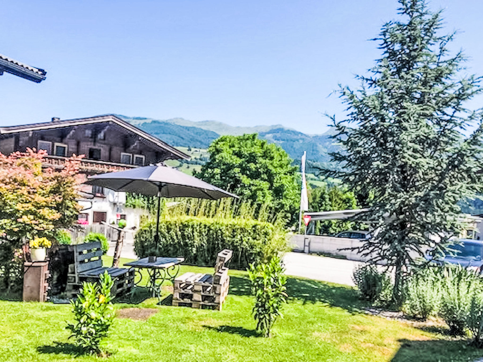 Photo of Evi 1