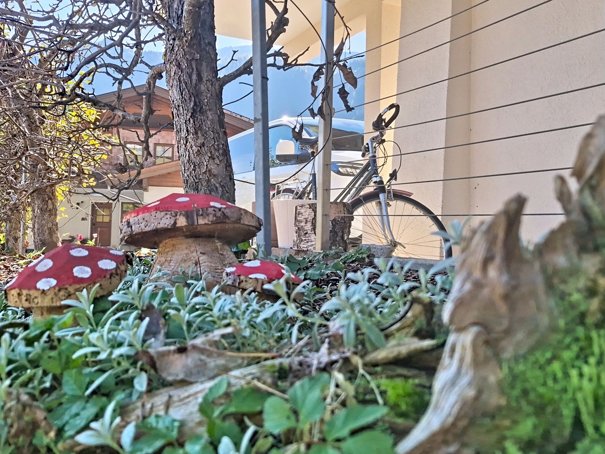 Appartement Zwölferblick - Binnen