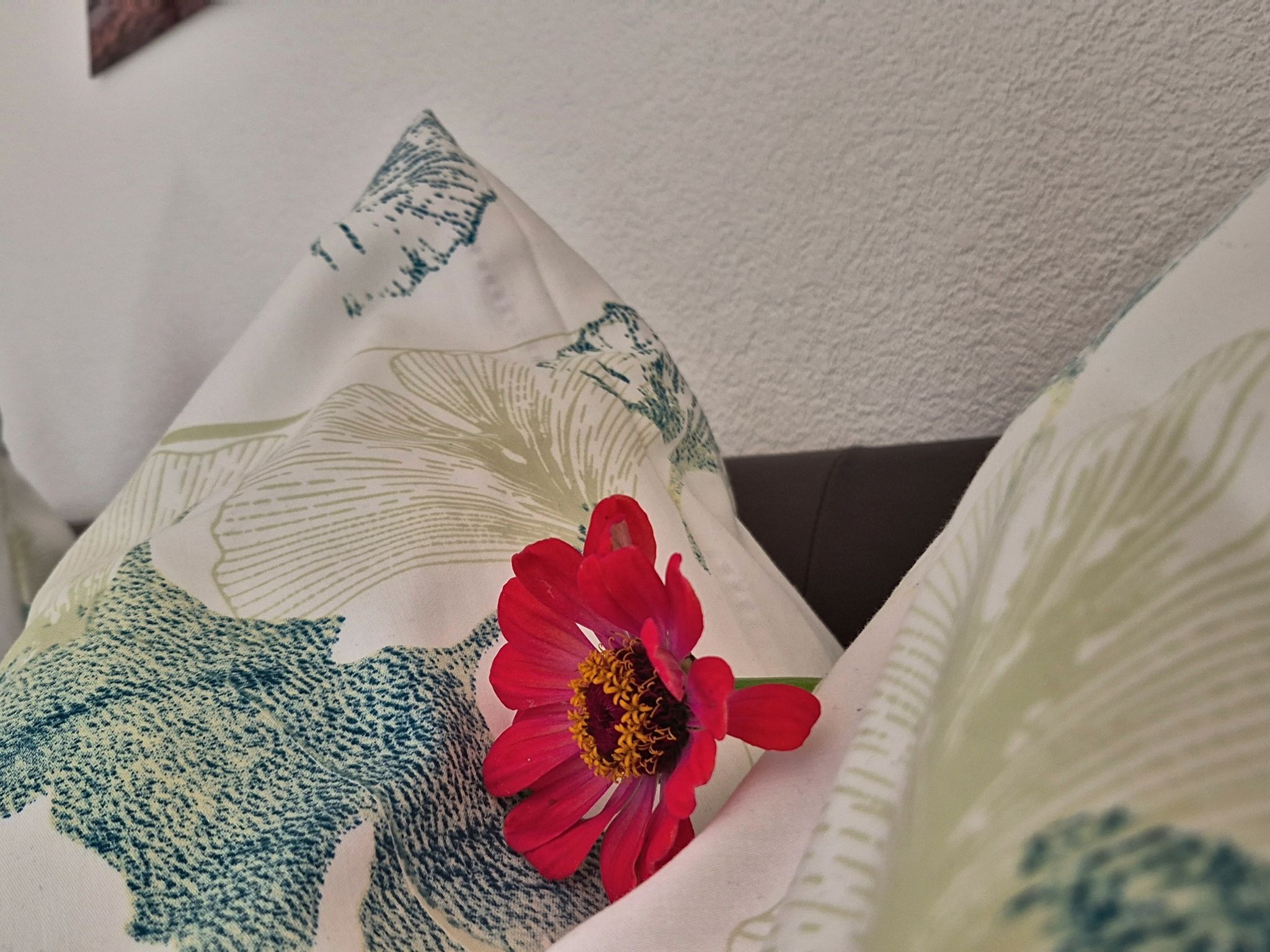 Appartement Zwölferblick - Binnen