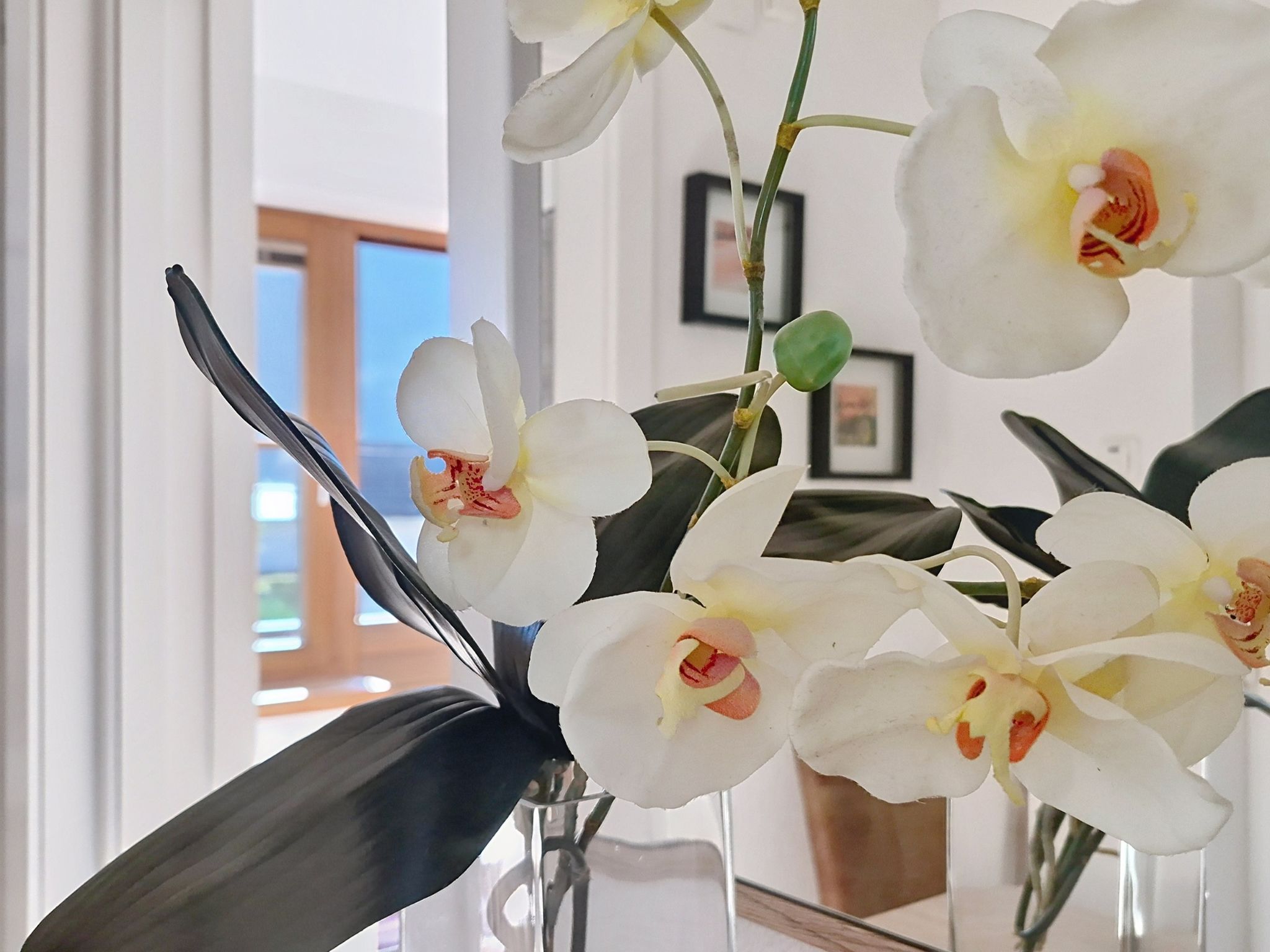 Appartement Zwölferblick - Binnen