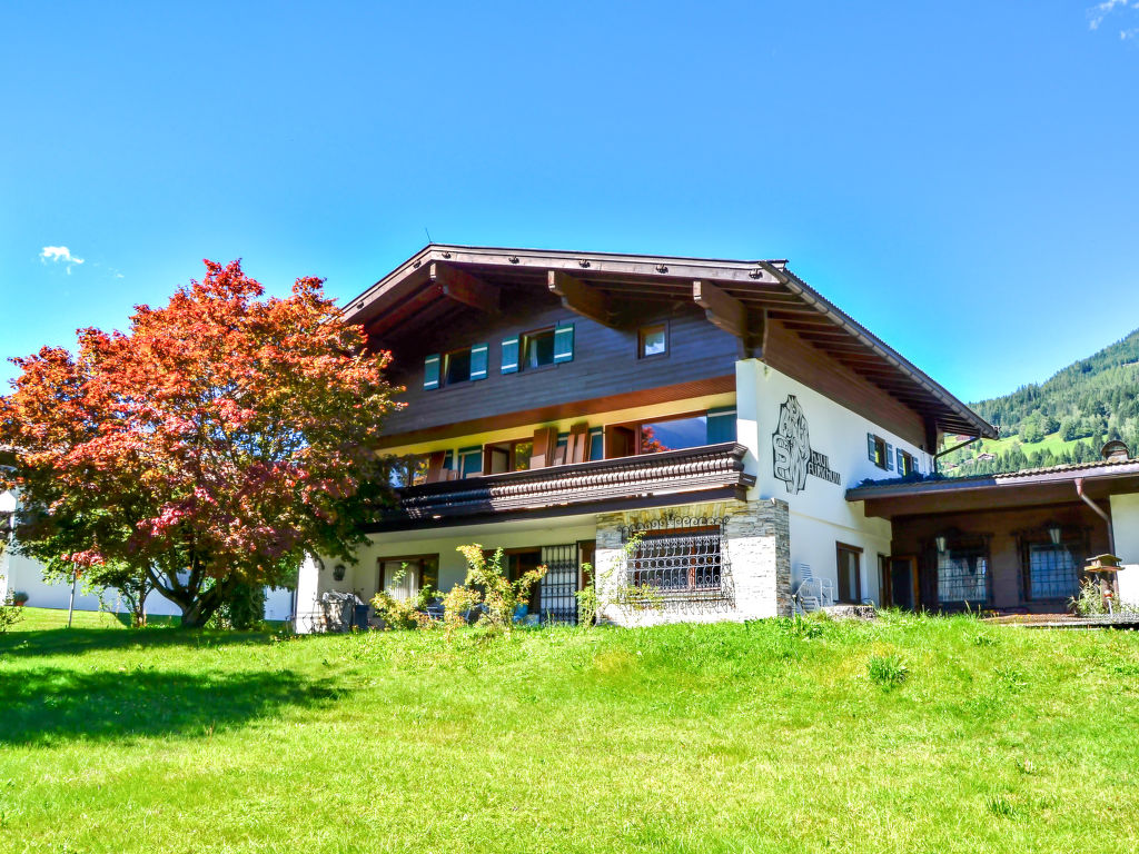 Ferienwohnung Apartmenthaus Dreier Ferienwohnung  Salzburger Land
