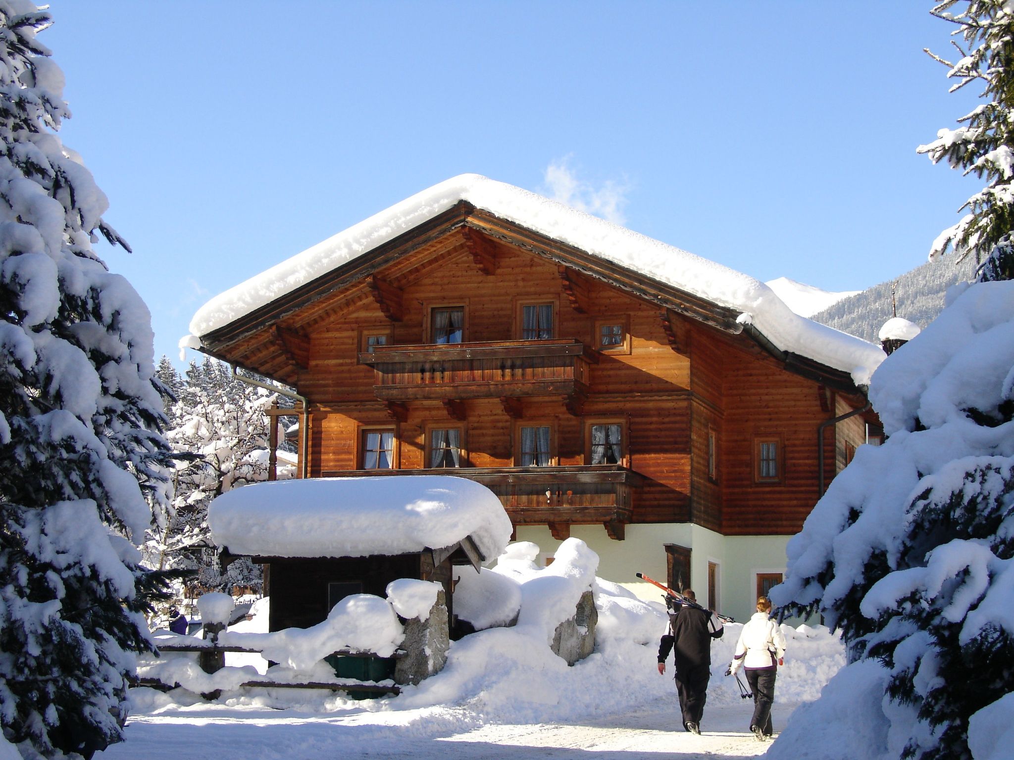 Bio-Haus # 402-Image-tags.info