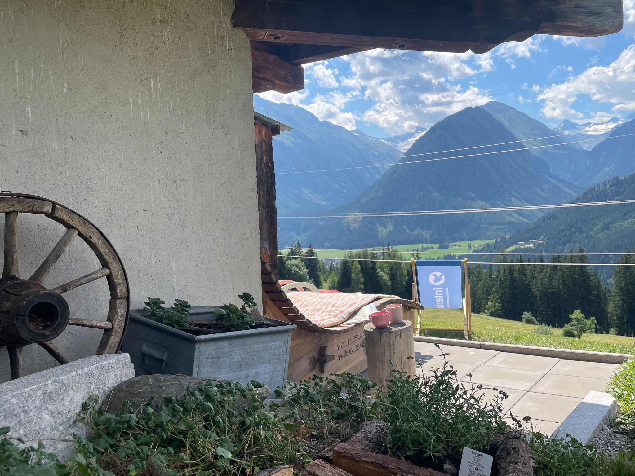 View