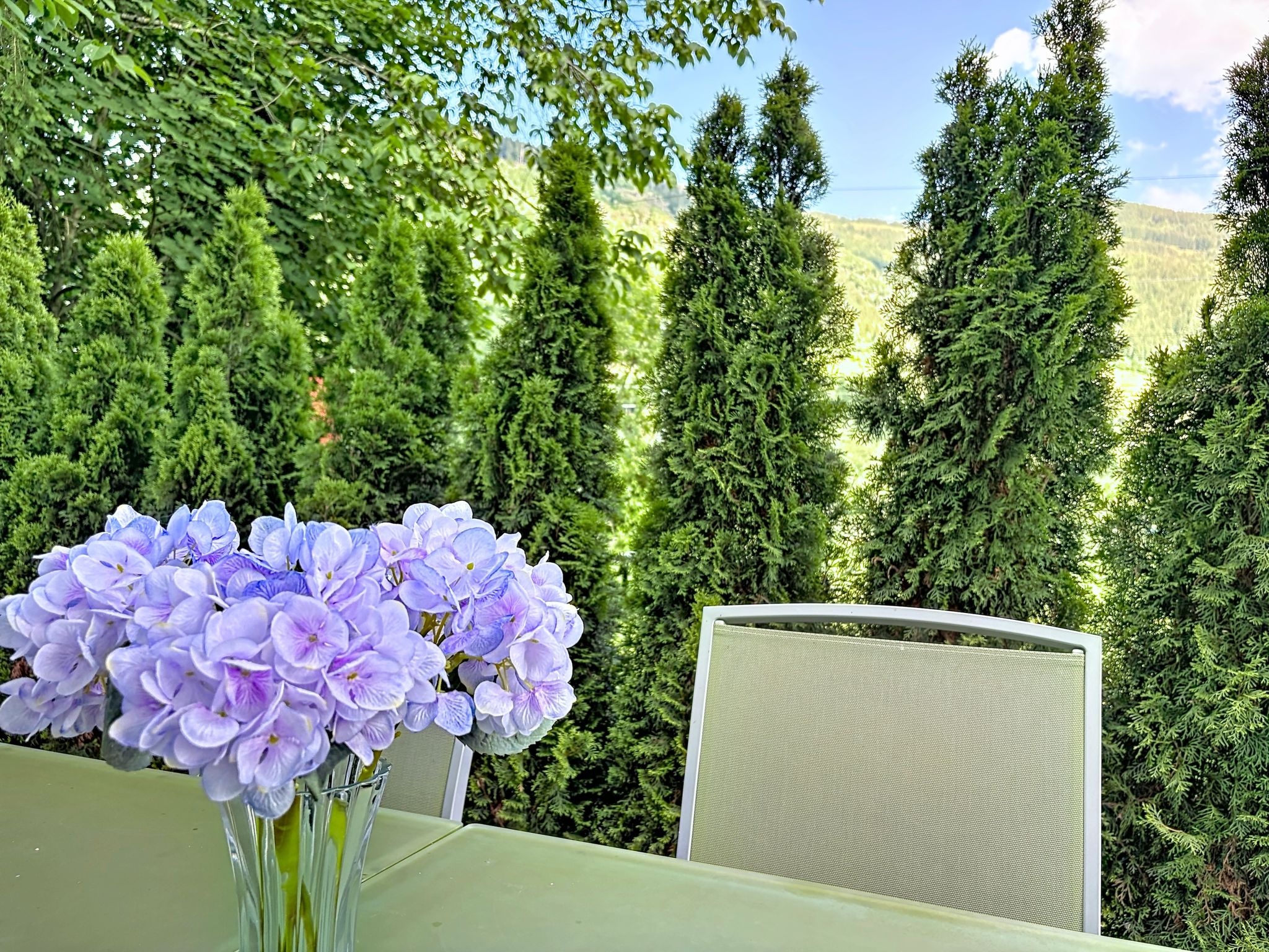 Apartment Anneliese - Buiten