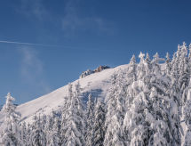 Knus appartement met bergzicht nabij Saalbach voor 4 personen - thumbnail 4
