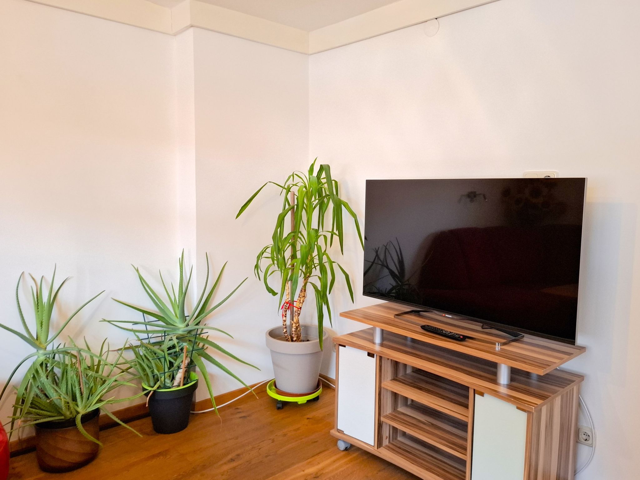 Photo of 5753 Suite