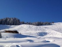 Ruim vrijstaand chalet aan de golfbaan in Hinterglemm voor 7 personen - thumbnail 4