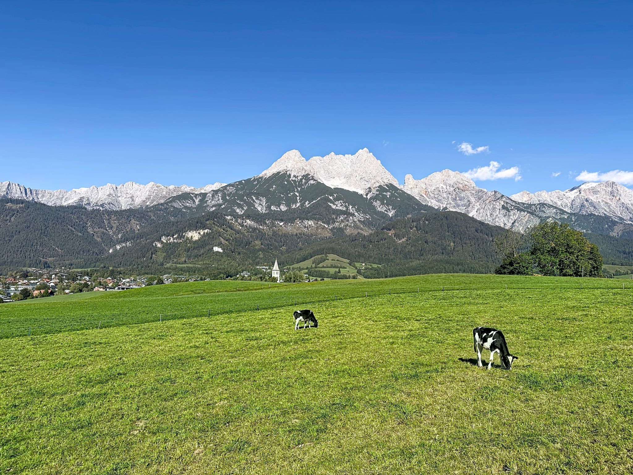 Thorermartlgut incl. Gästekarte - Buiten