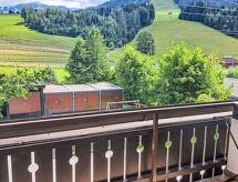 Apartmá Schinking 31