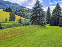 Apartmá Schinking 31