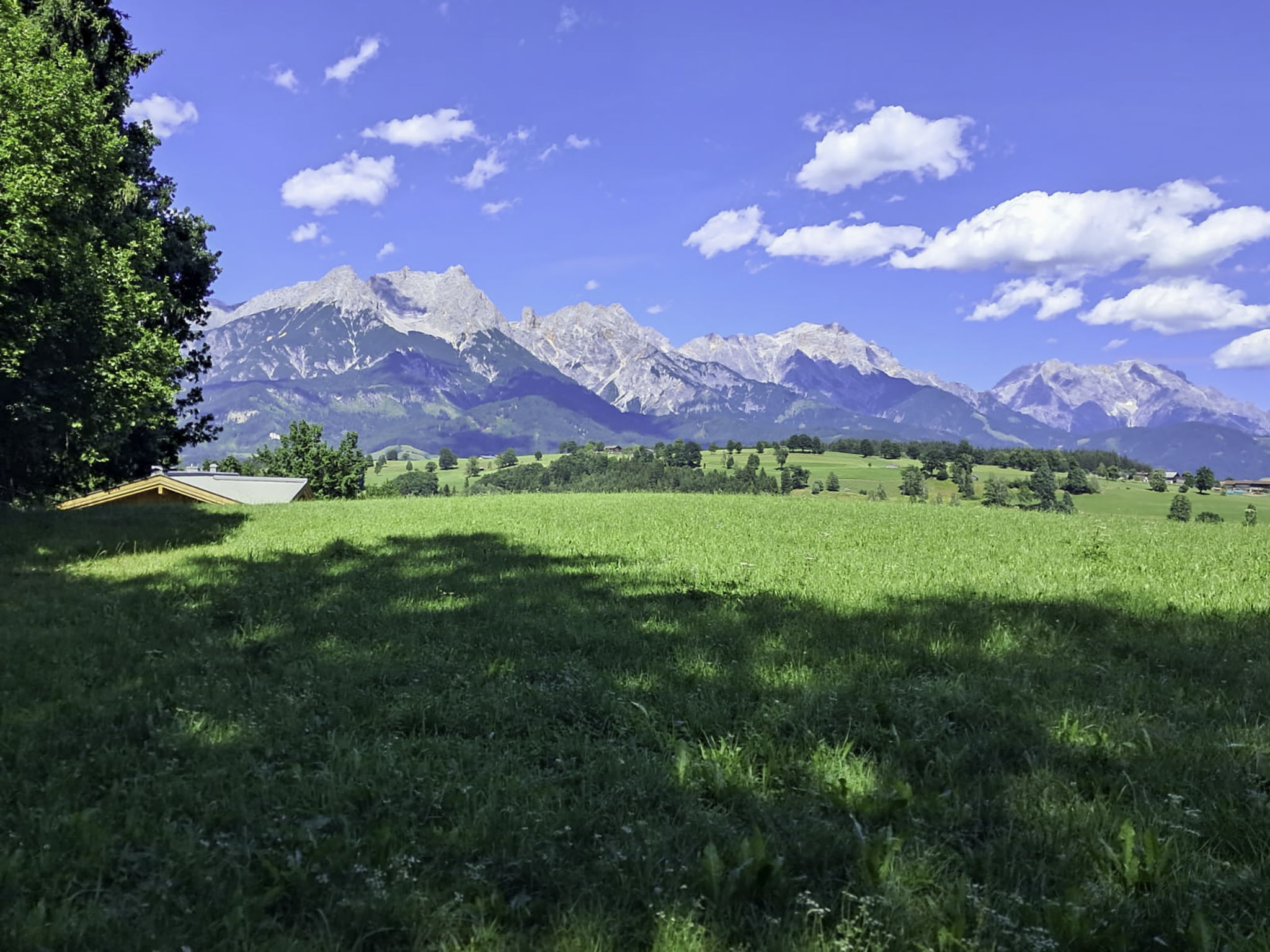 Photo of Pessenteiner