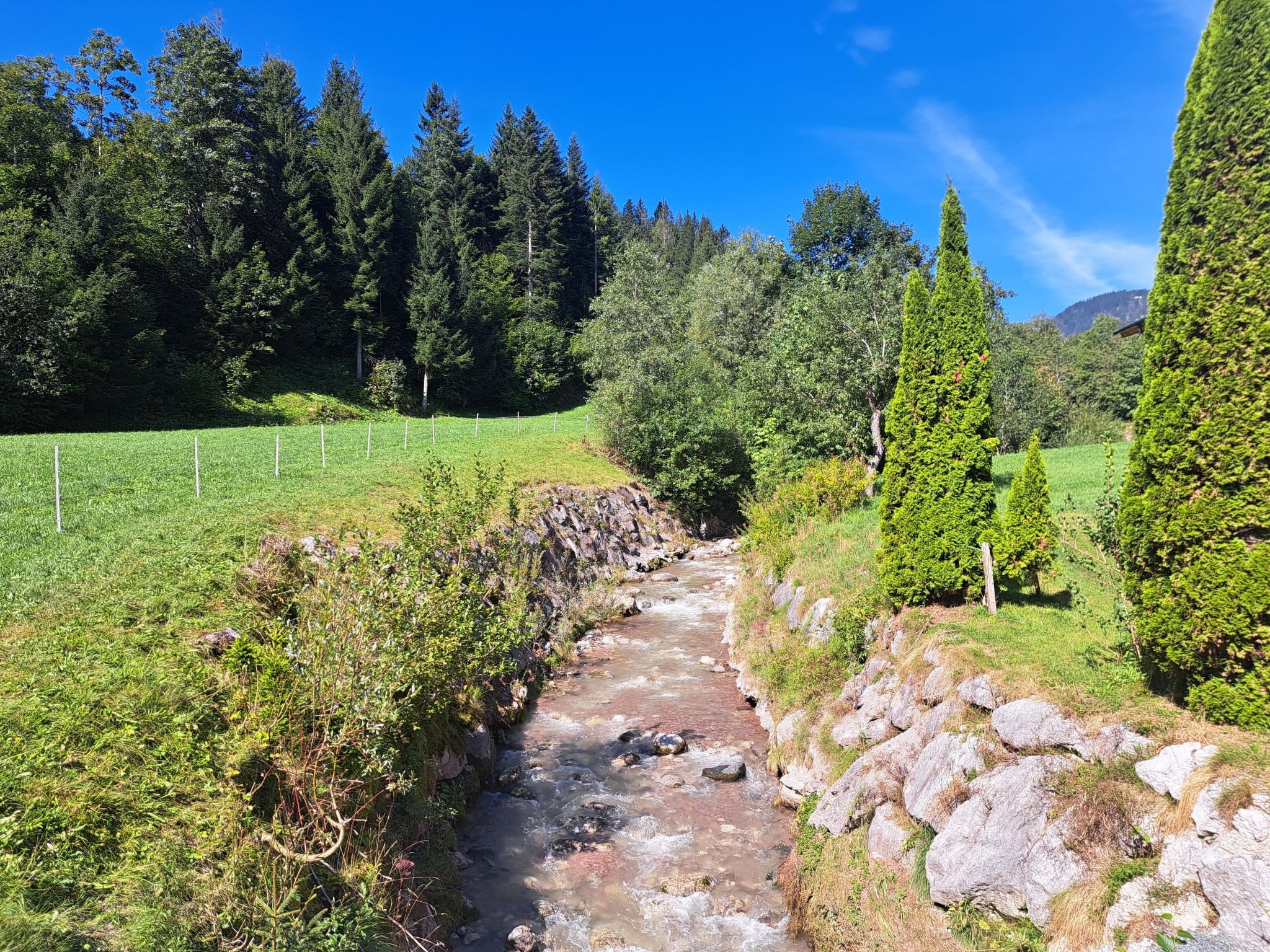 Waidmannsheil - 67qm-Draußen