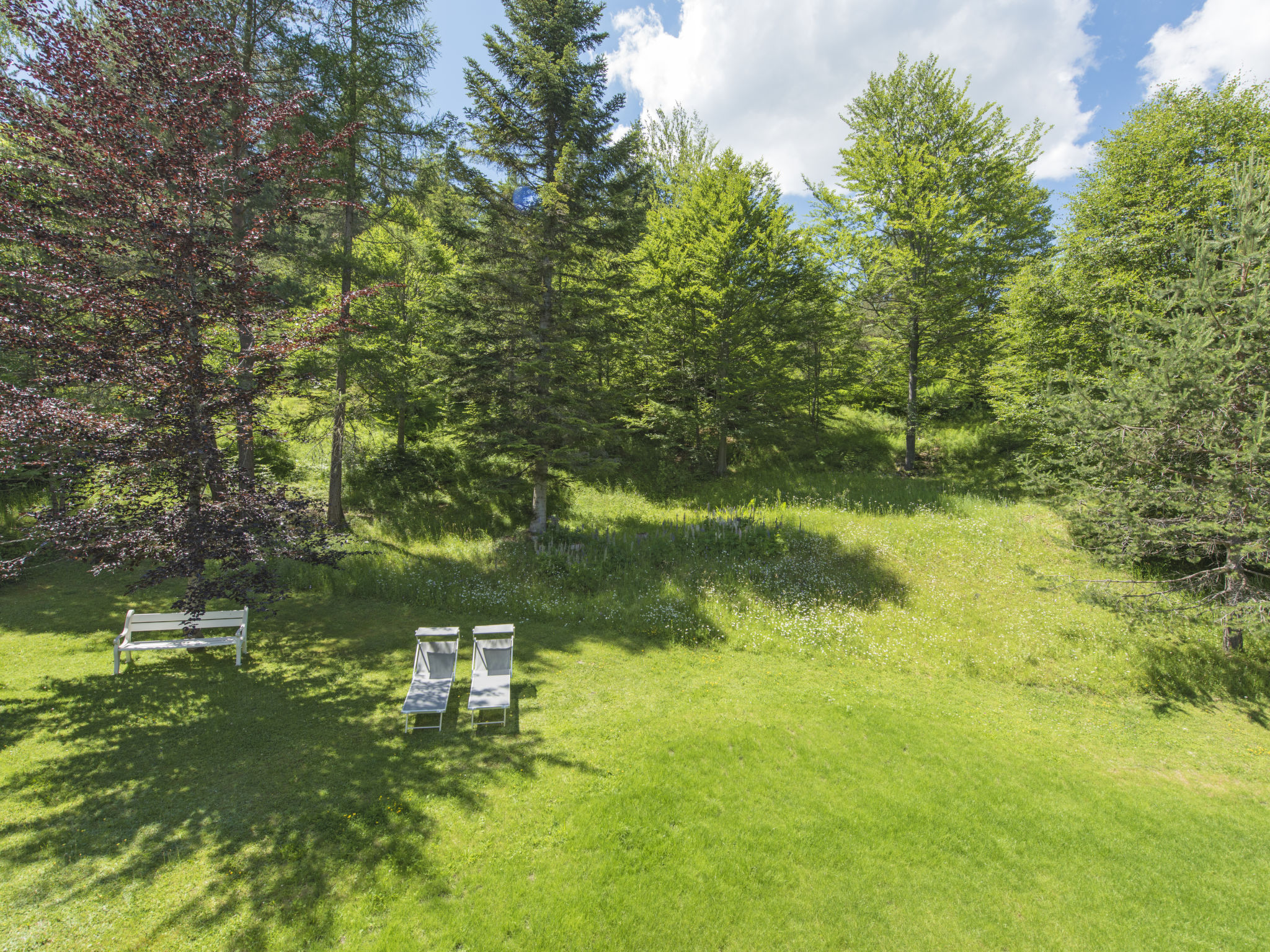 Waldblick-Buiten