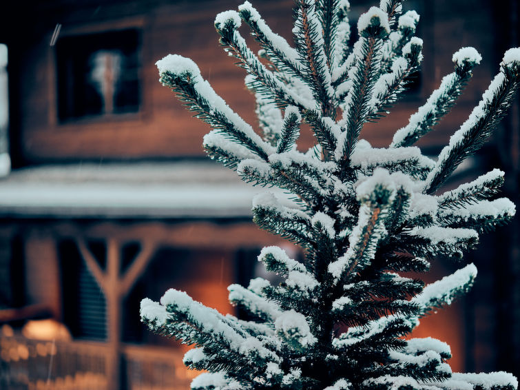 Photo of Sissis Green Chalet Elisabeth