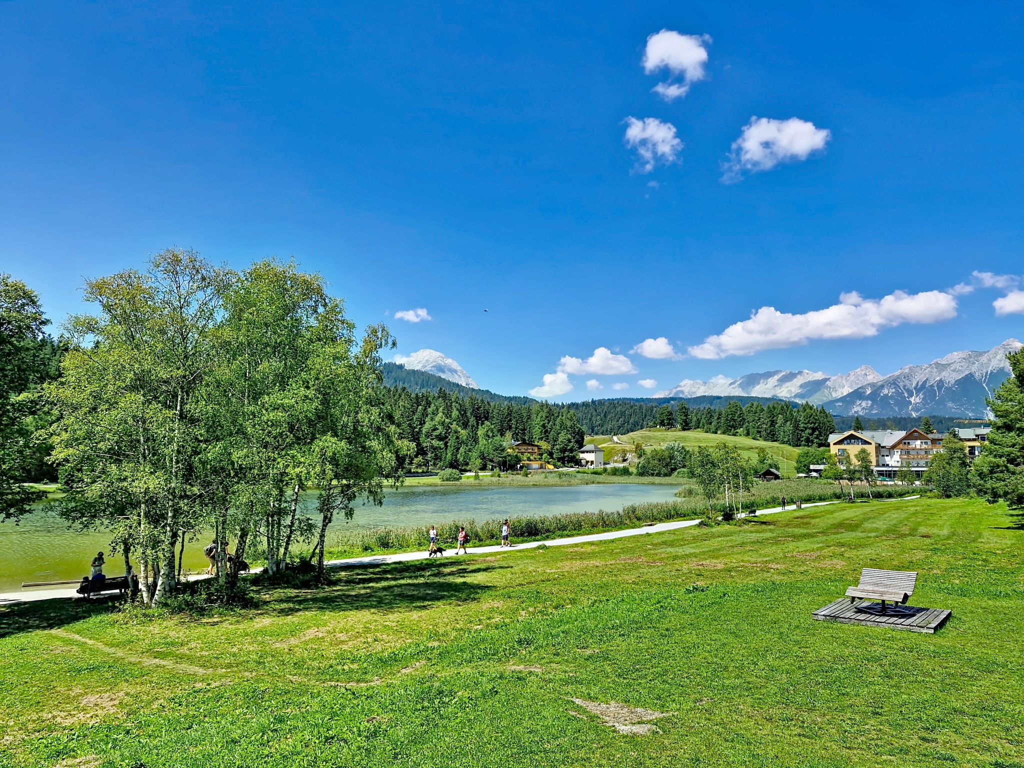 Photo of Renauer