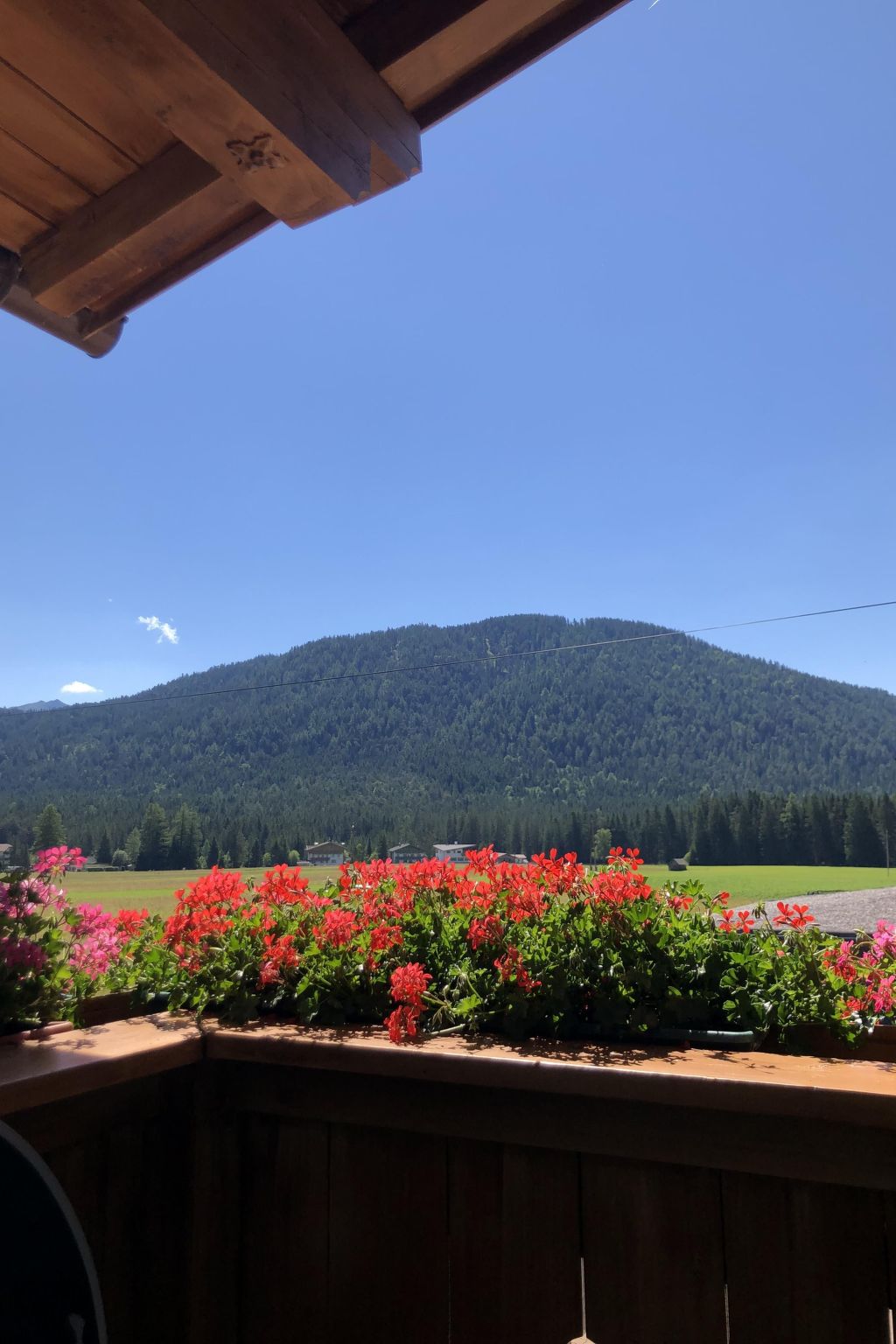 Haus Schönberg-Image-tags.info