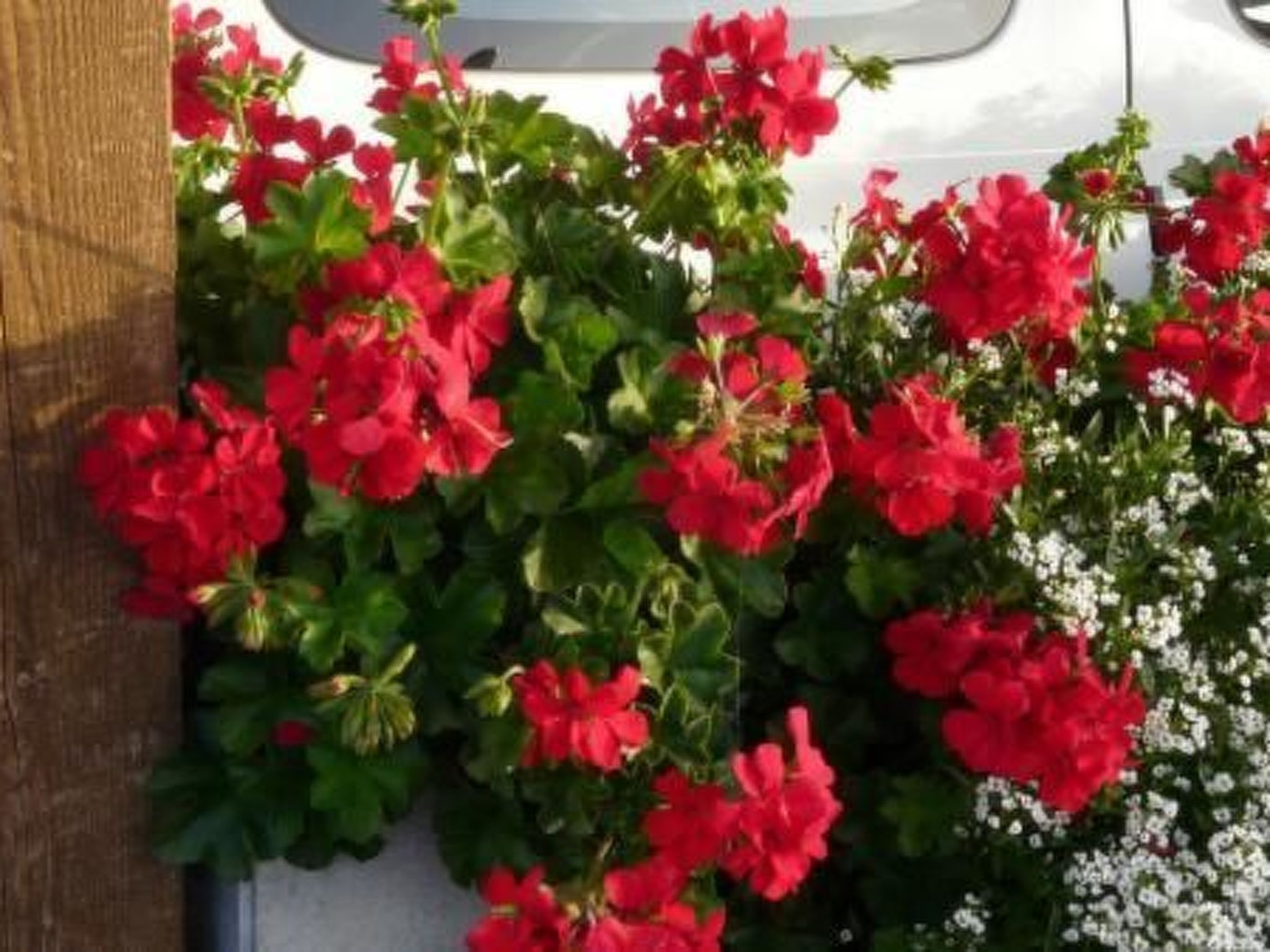 Haus Schönberg-Image-tags.info