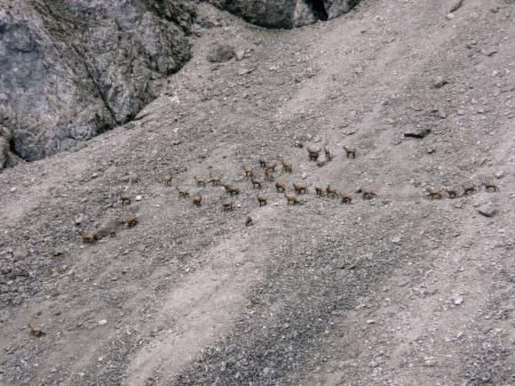 Haus Schönberg-Image-tags.info