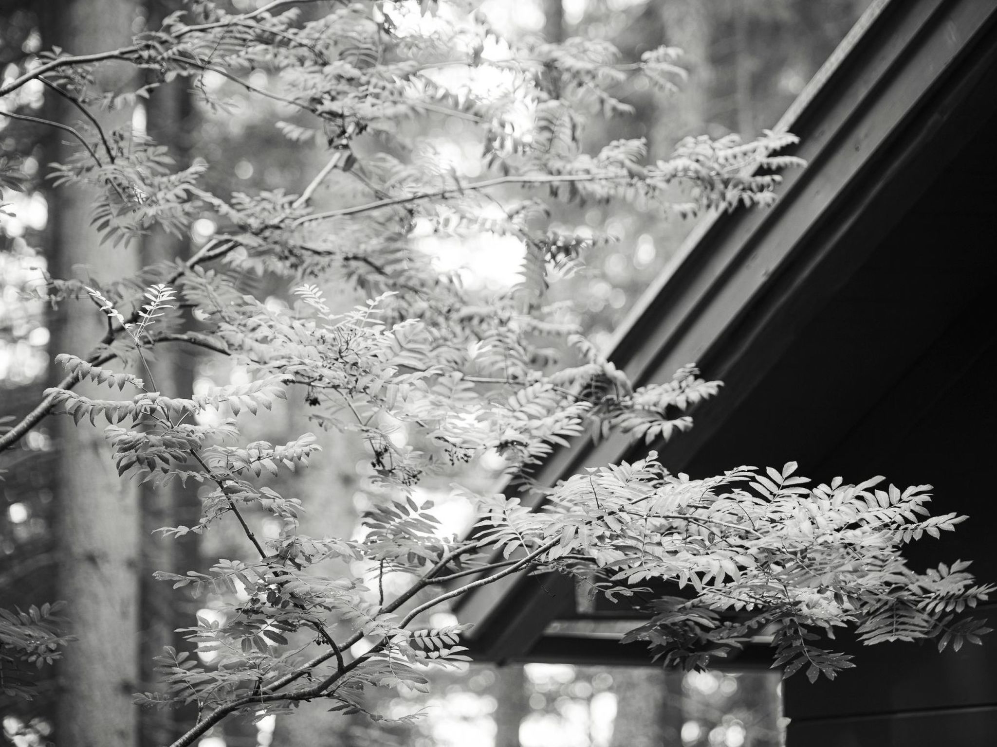 Berg Hütte Hochpillberg-Image-tags.info
