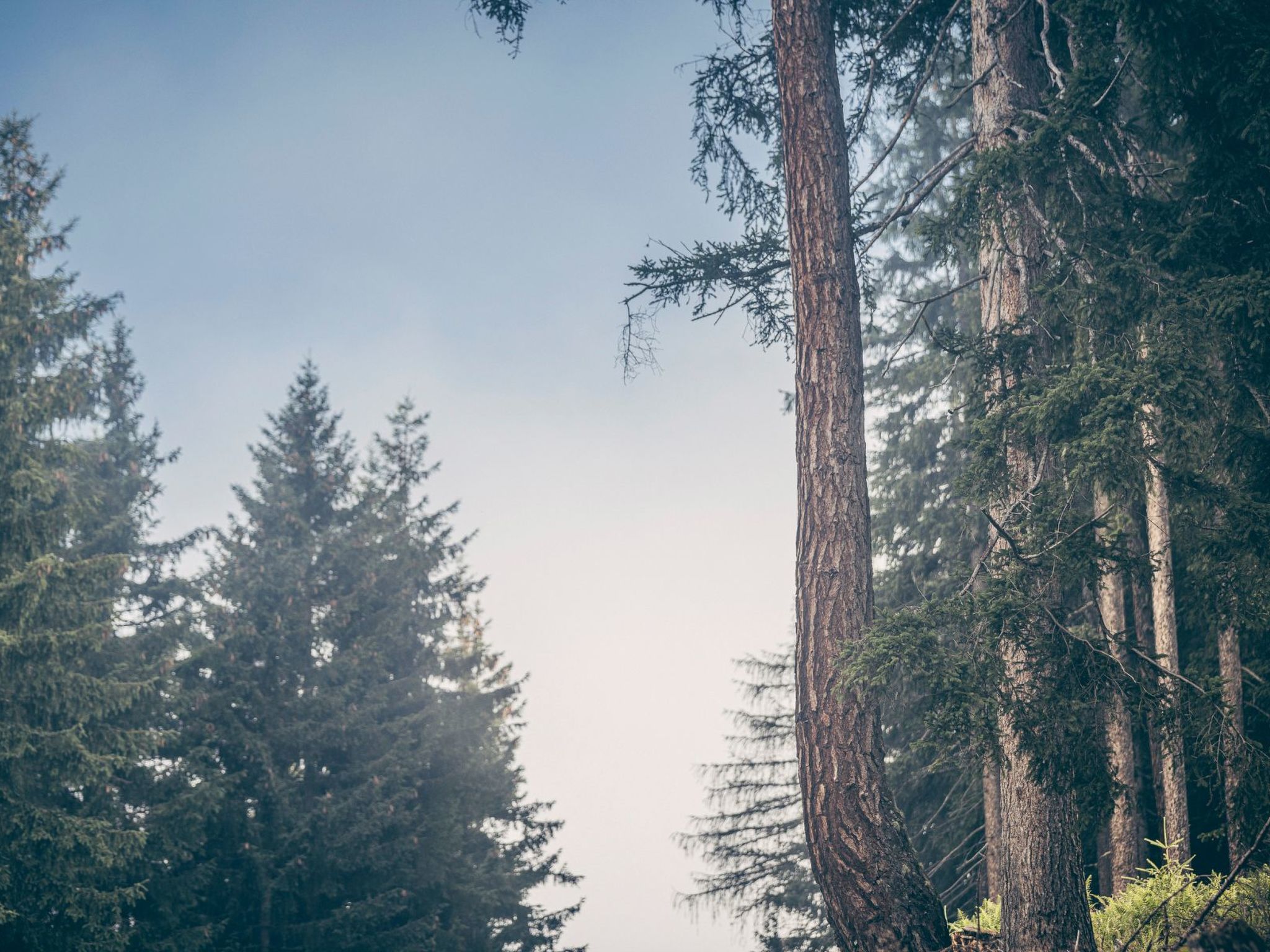Berg Hütte Hochpillberg-Image-tags.info