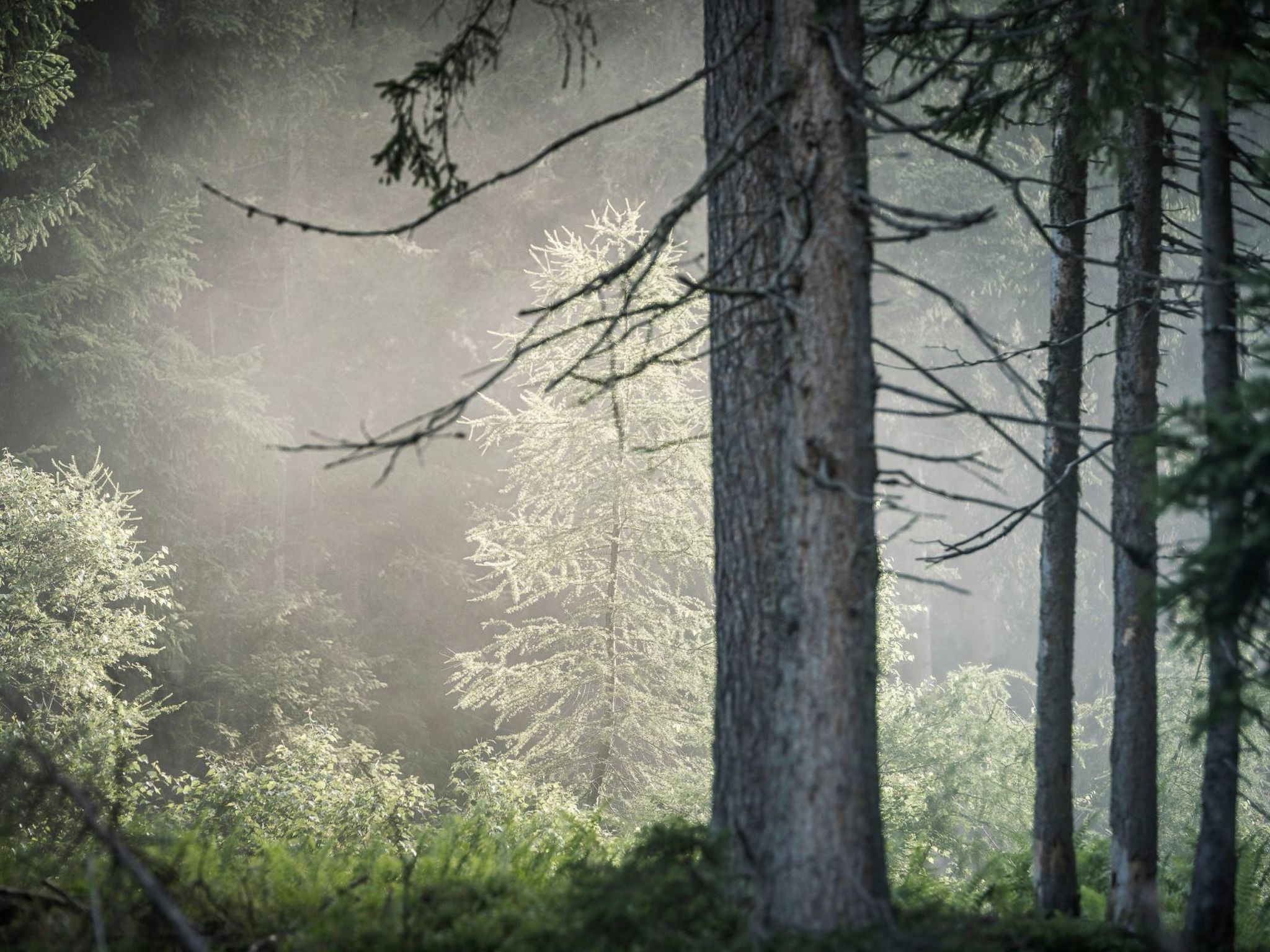 Berg Hütte Hochpillberg-Image-tags.info