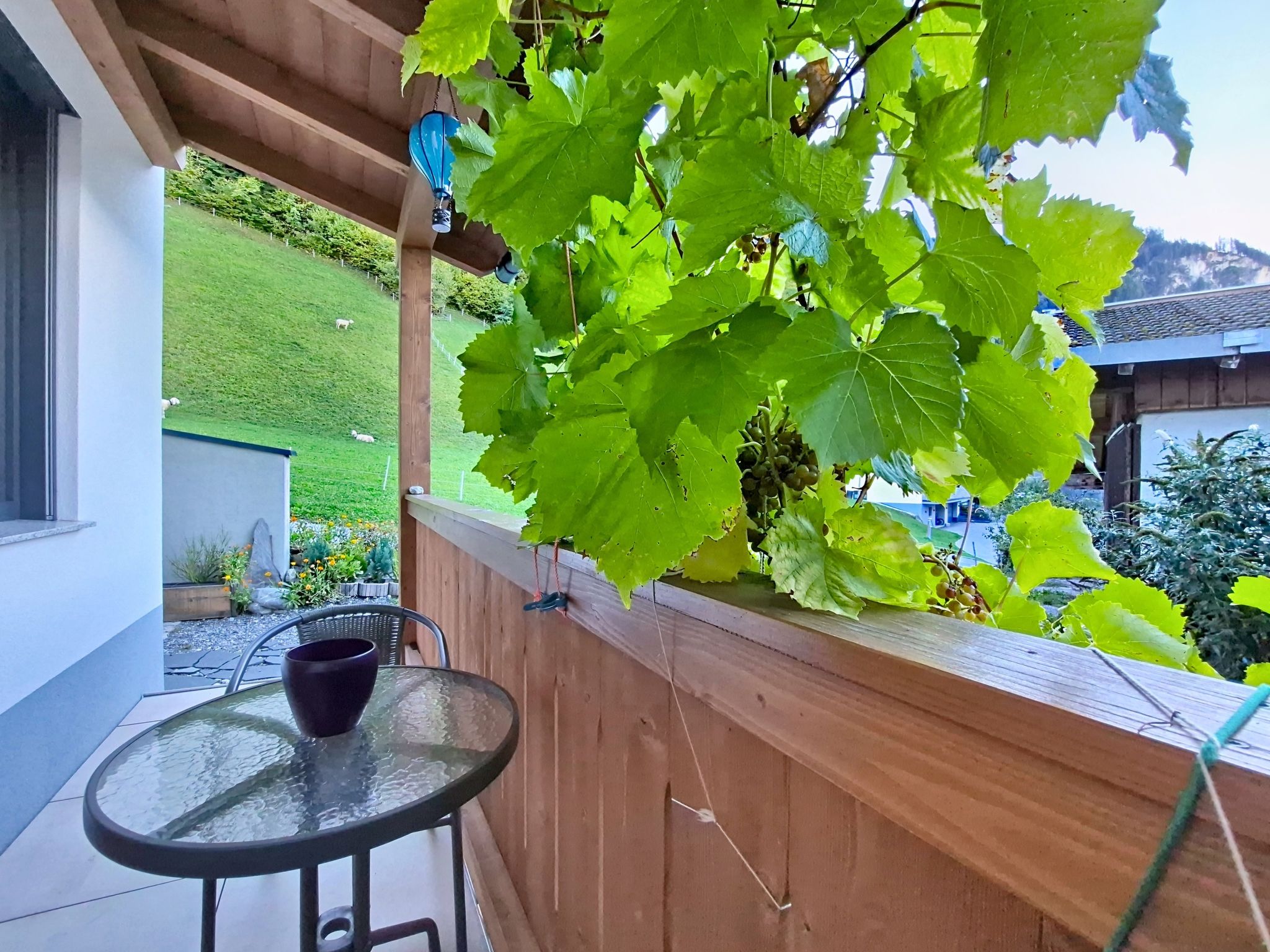 Appartement Silberberg – Terrasse, photo 27 sur 34