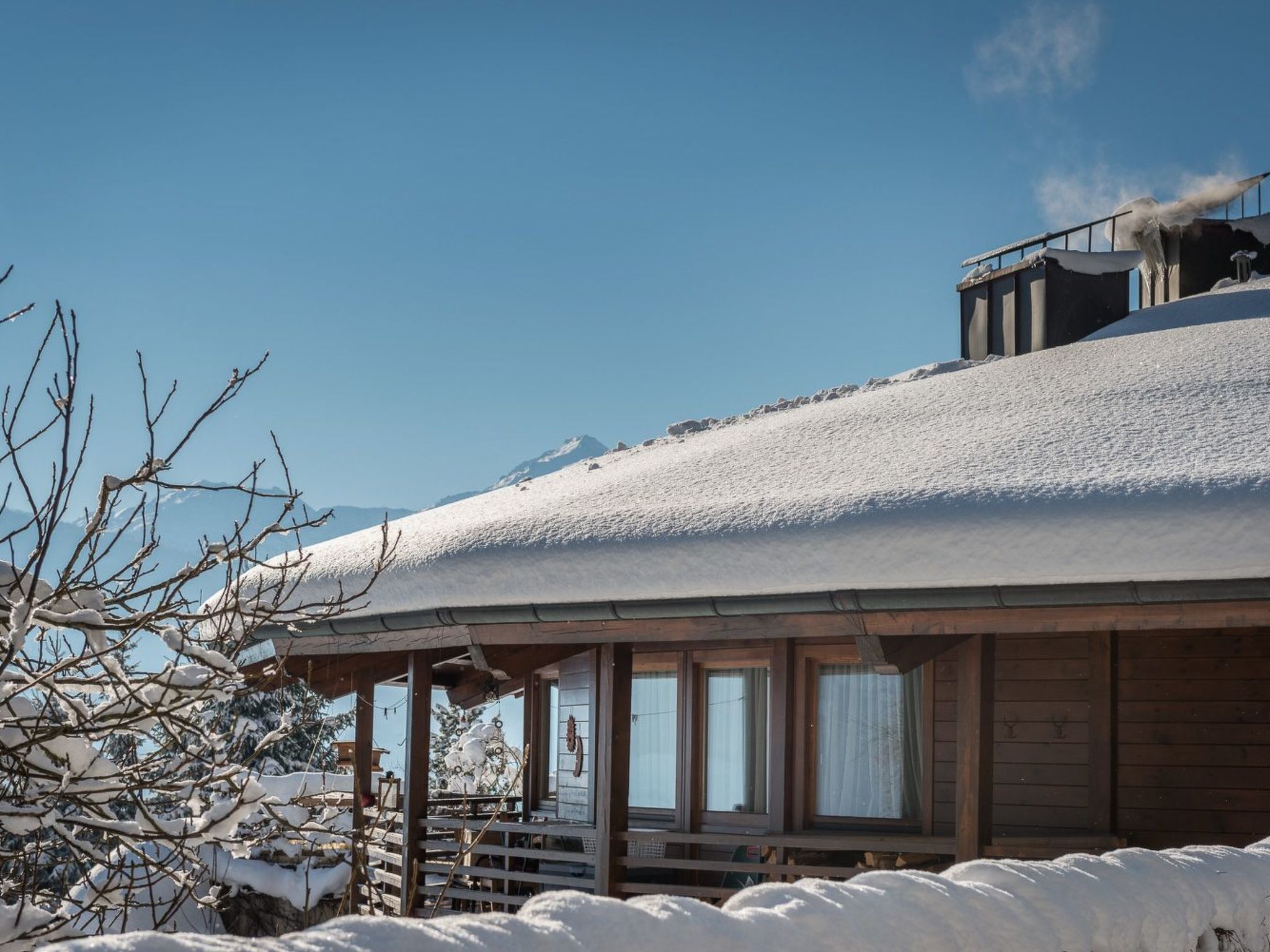 Bärenkopf supreme Studio 4-Image-tags.info