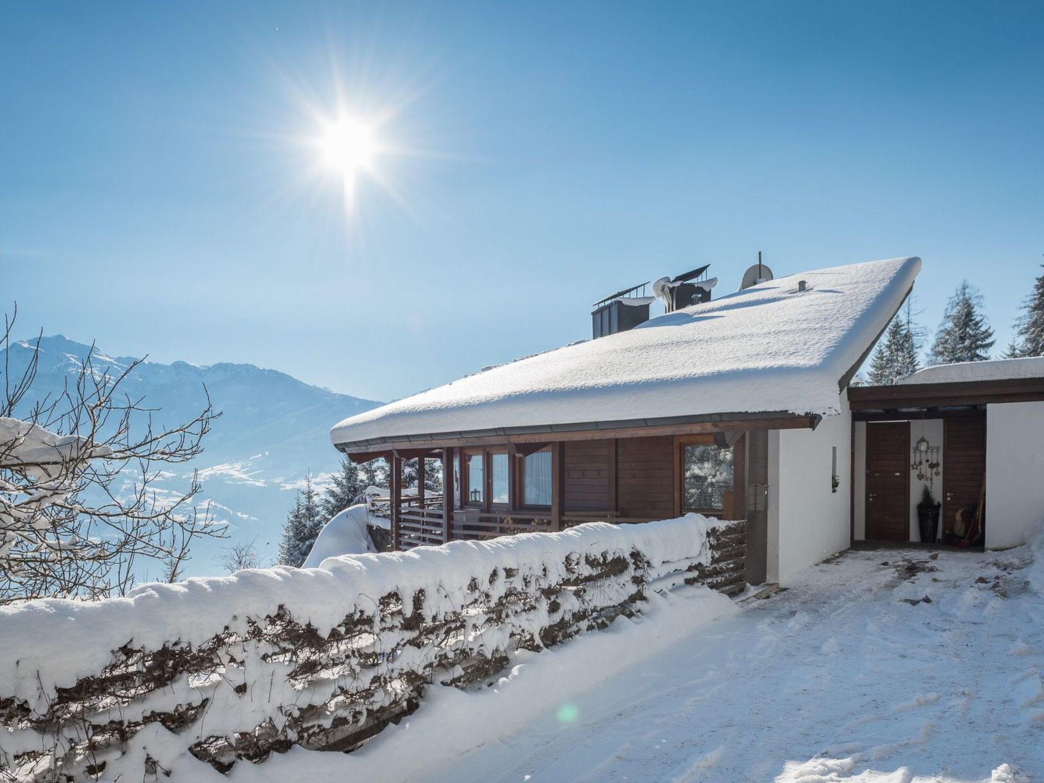 Bärenkopf supreme Studio 4-Image-tags.info