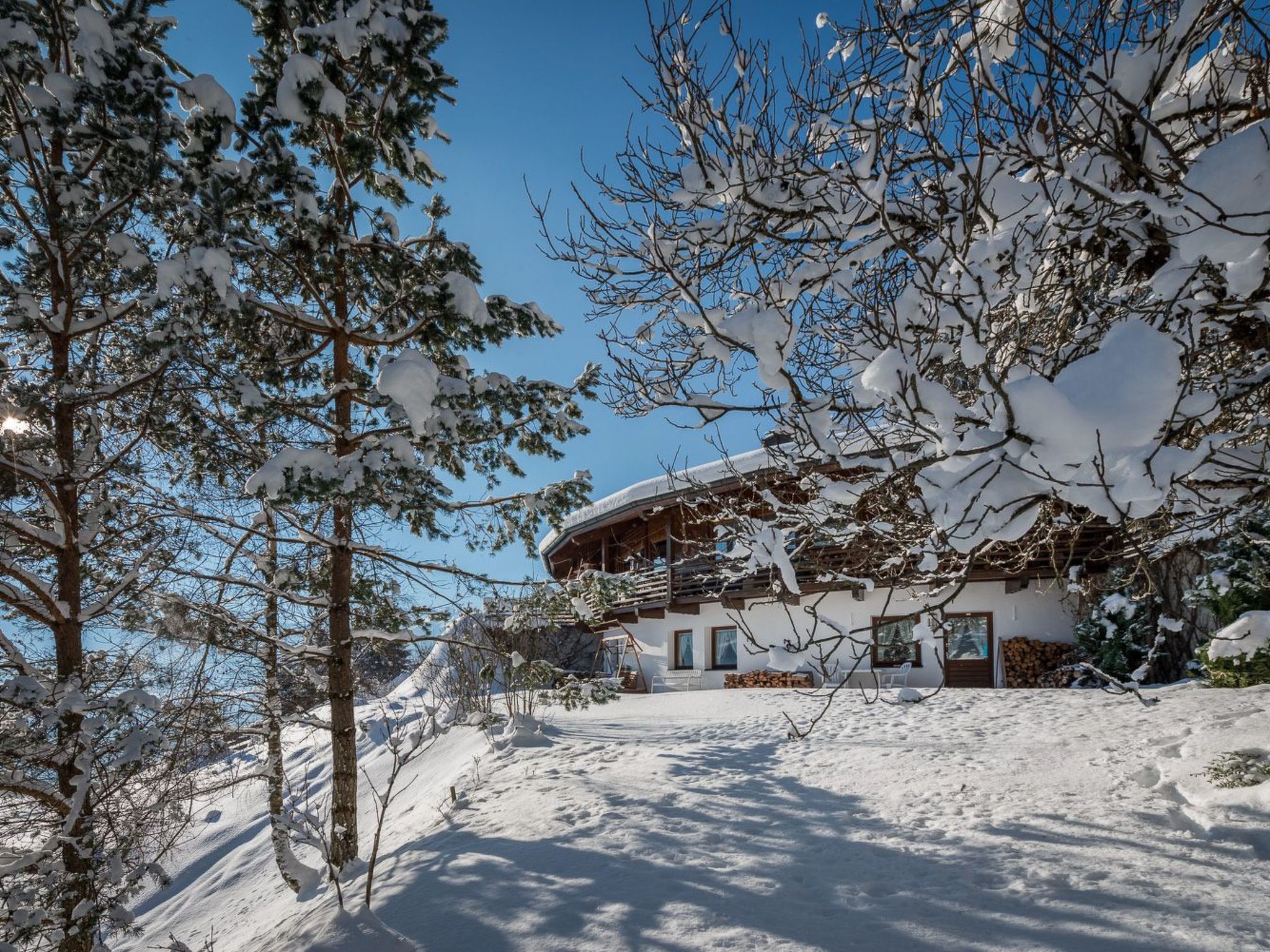 Bärenkopf supreme Studio 4-Image-tags.info