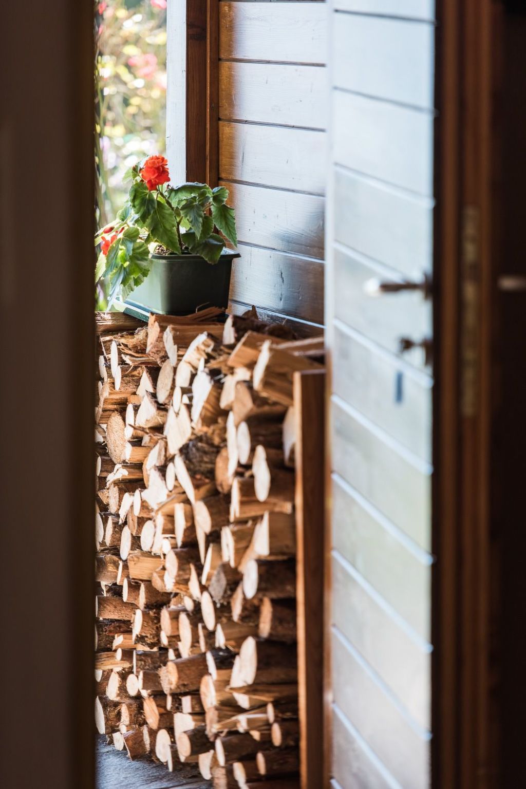 Bärenkopf supreme Studio 4-Image-tags.info