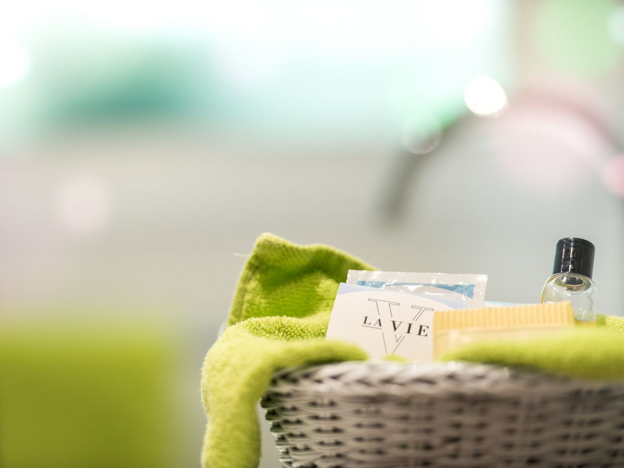 Bärenkopf supreme Studio 4-Image-tags.info