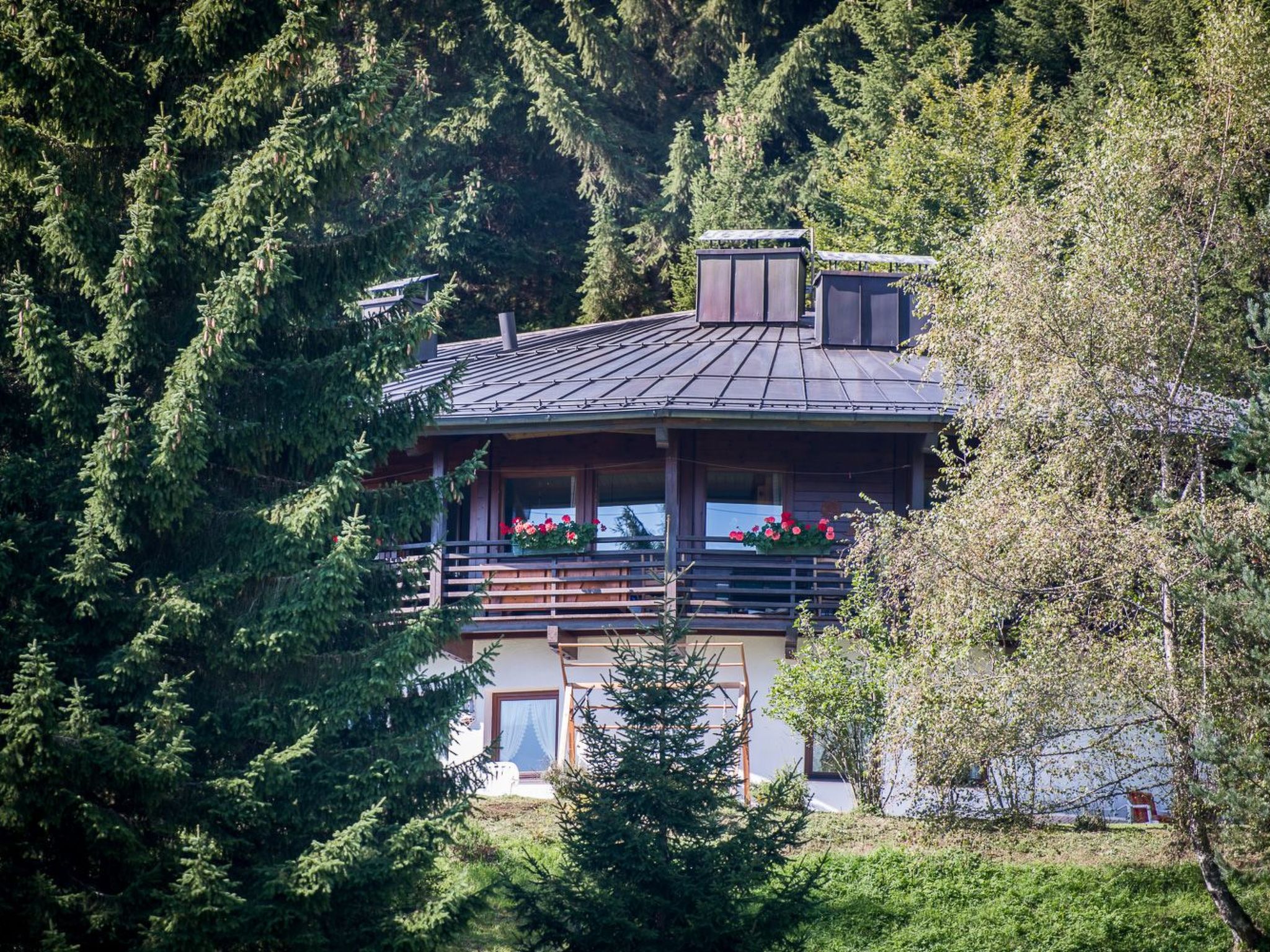 Bärenkopf supreme Studio 4-Image-tags.info