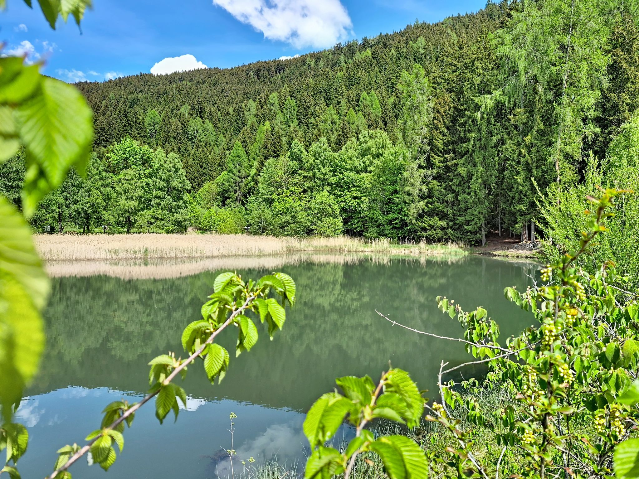 Halbeis - Buiten