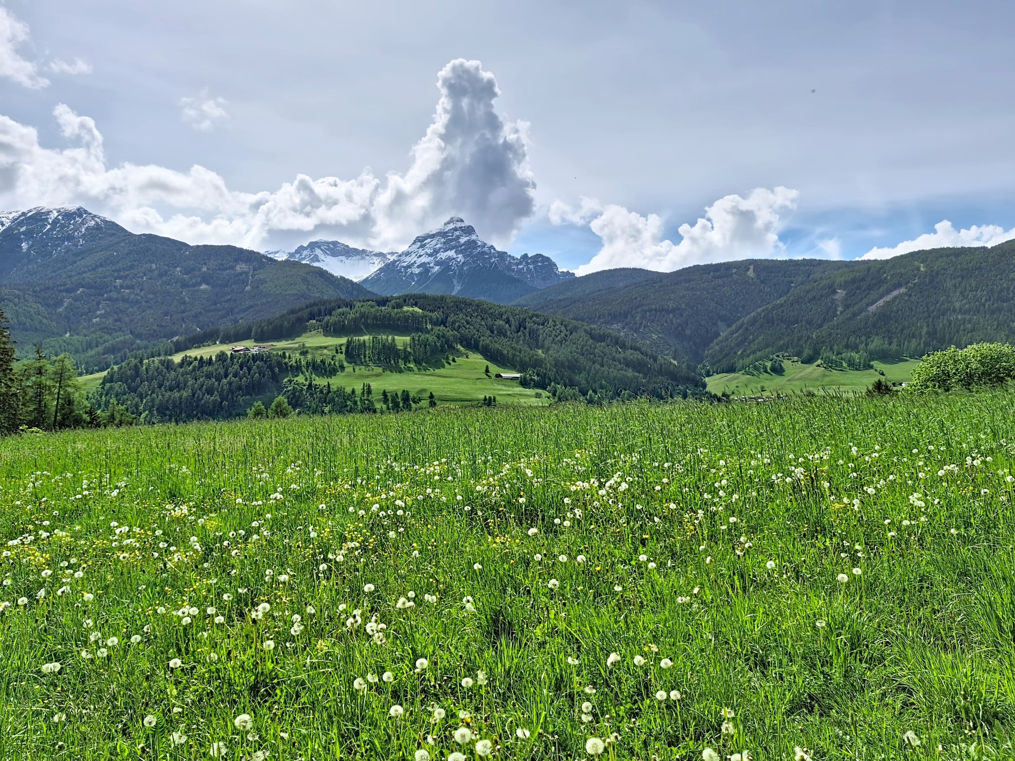 Halbeis - Buiten