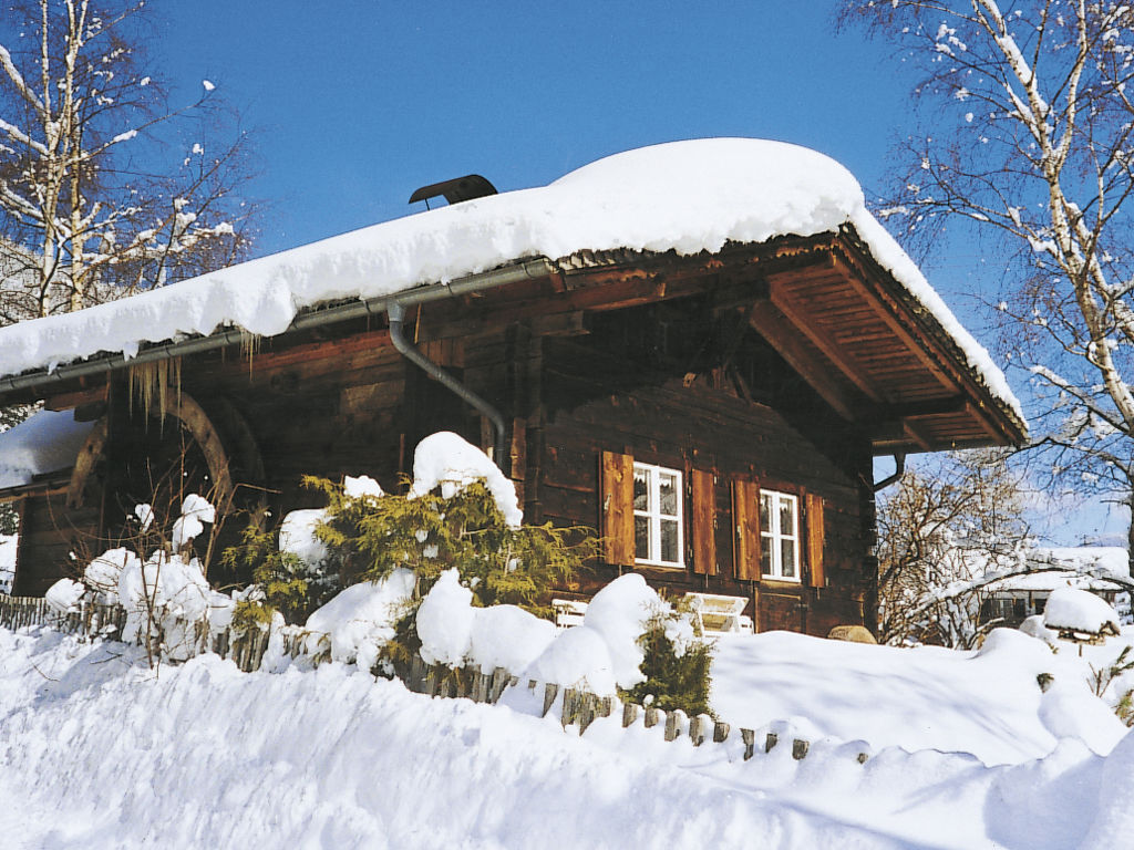 Ferienhaus Hüttl (GSN100) Ferienhaus  Wipptal