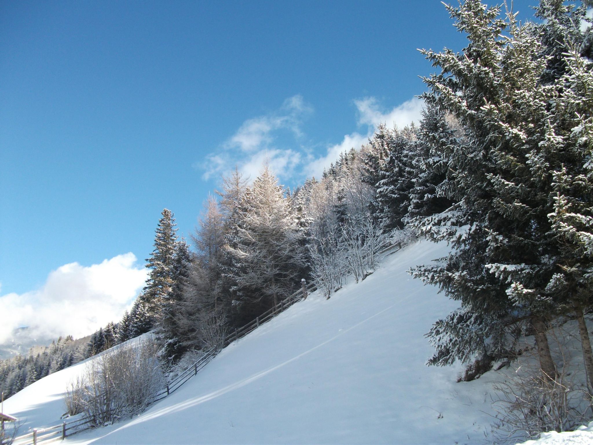 In ruhiger Lage am Waldrand-Dedans