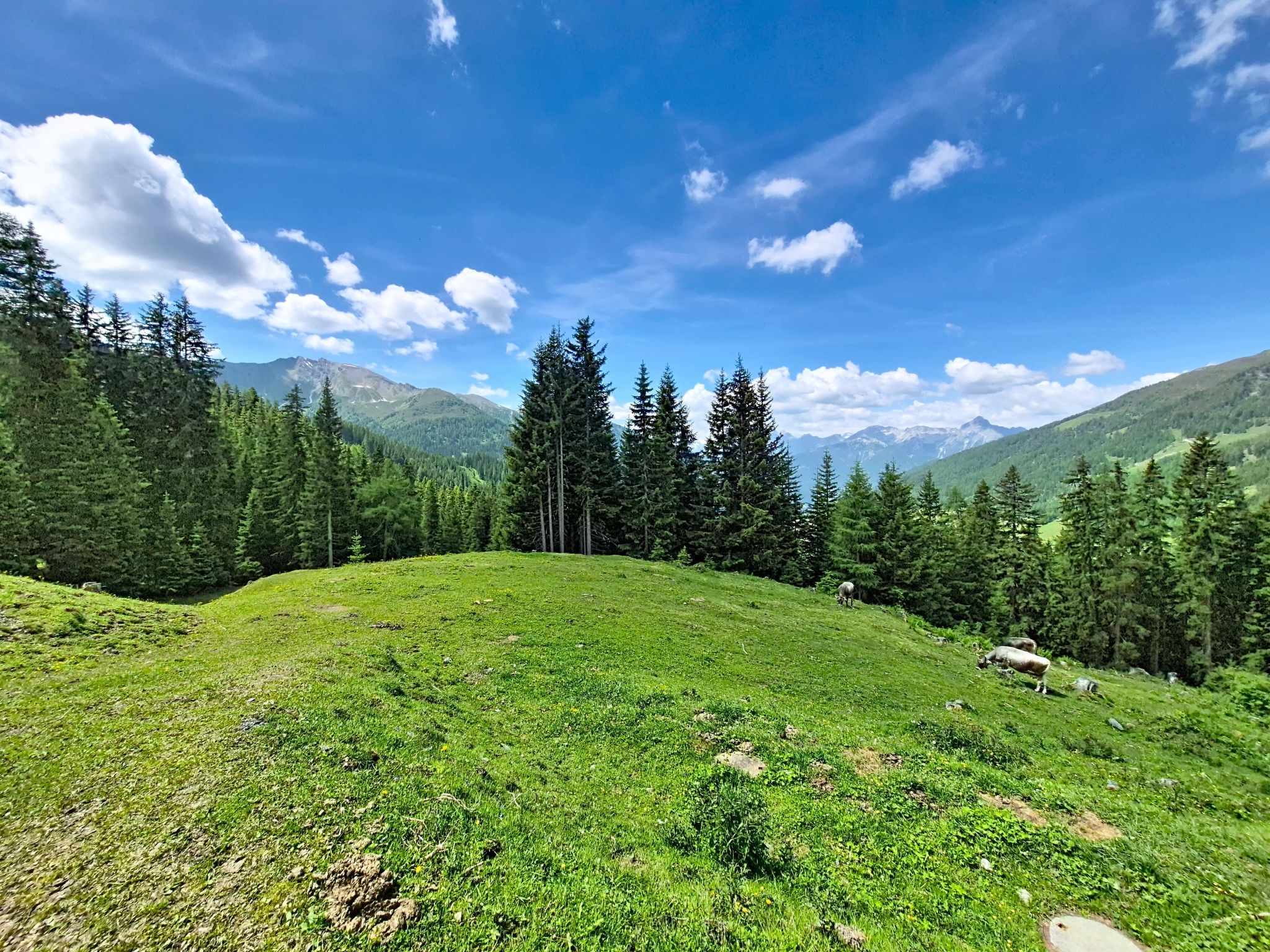 Naviser Hütte - Buiten