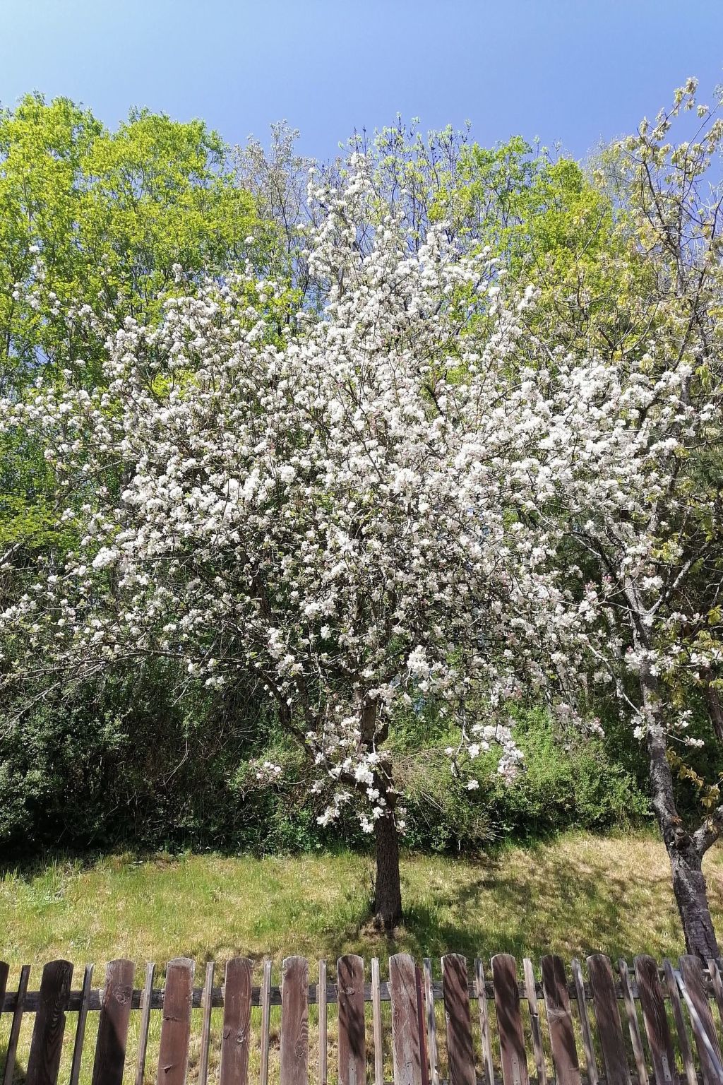 Riedbach in Mutters-Binnen