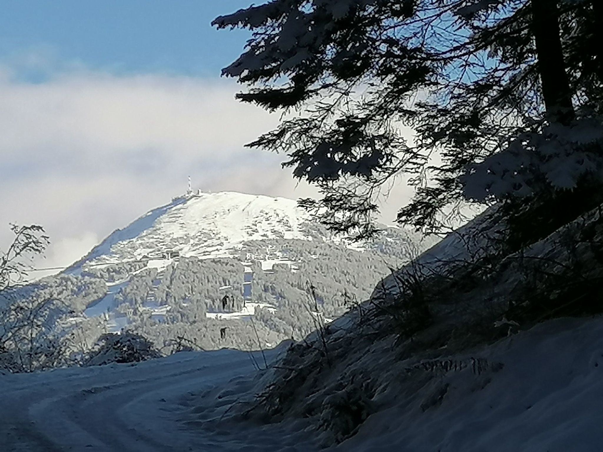 Riedbach in Mutters-Binnen