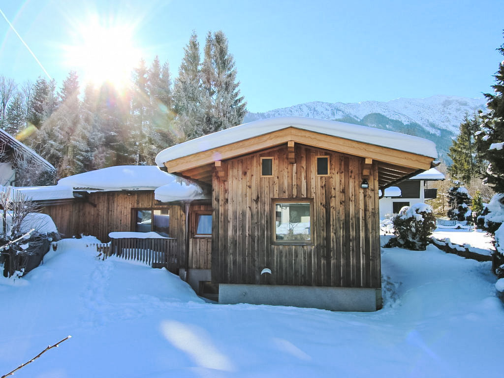 Ferienhaus Bärenkopf Ferienhaus in Österreich