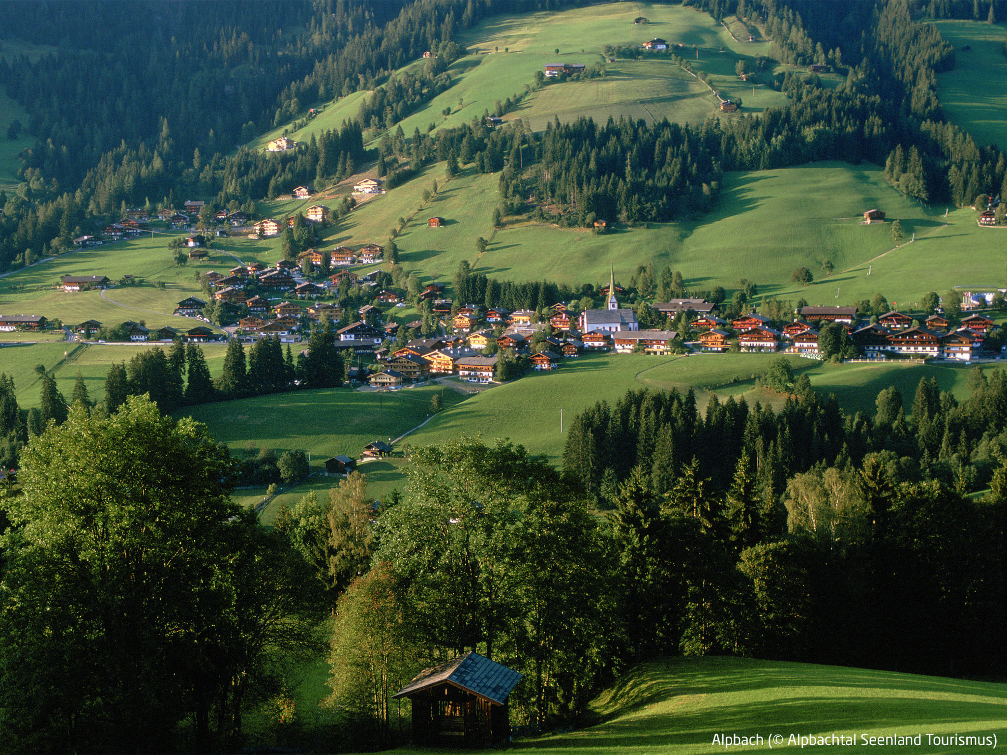 Photo of Bischofer-Bergwelt